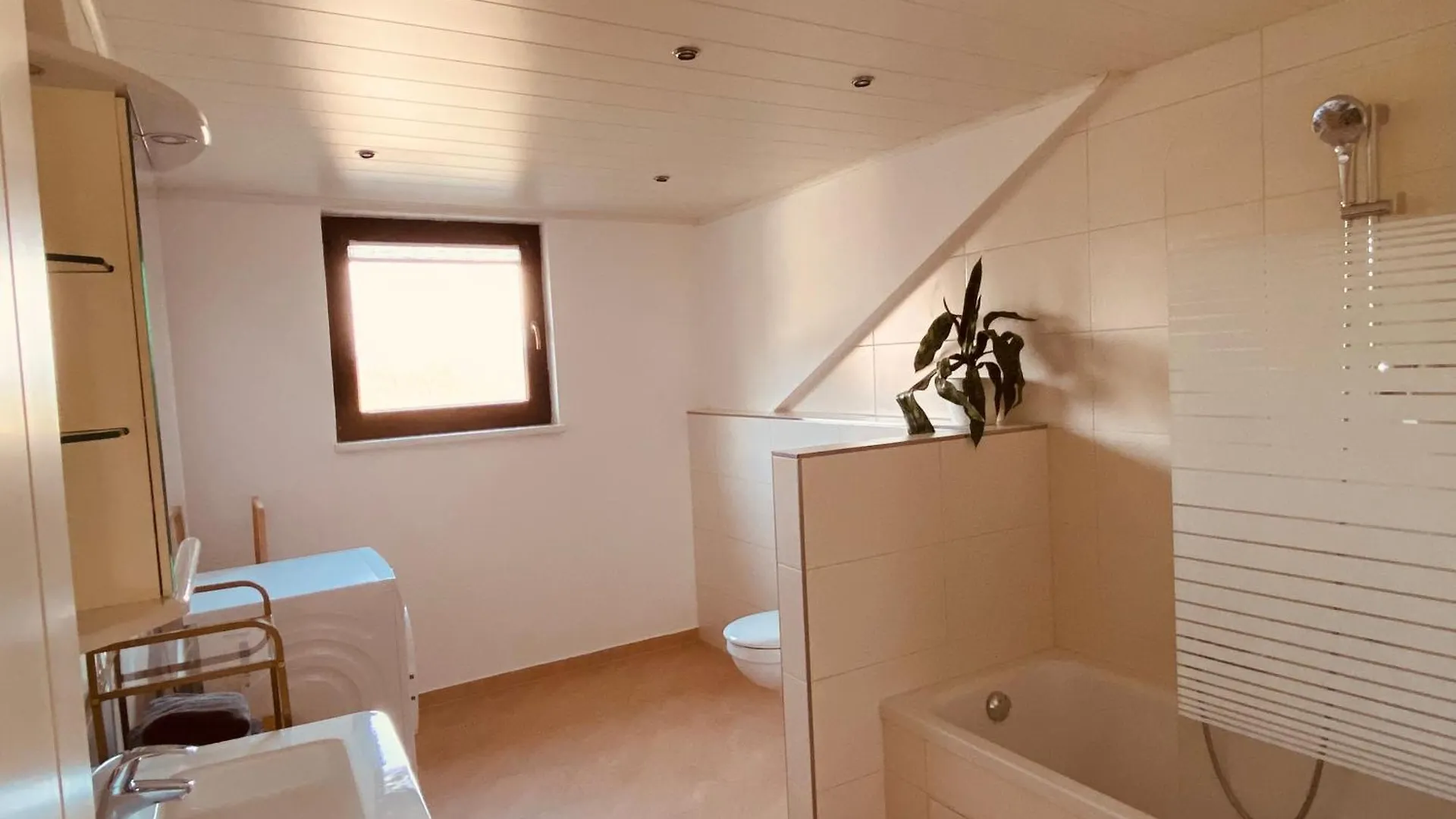 Ferienwohnung Angelina Tiefenbach  0*, Tiefenbach (Passau)